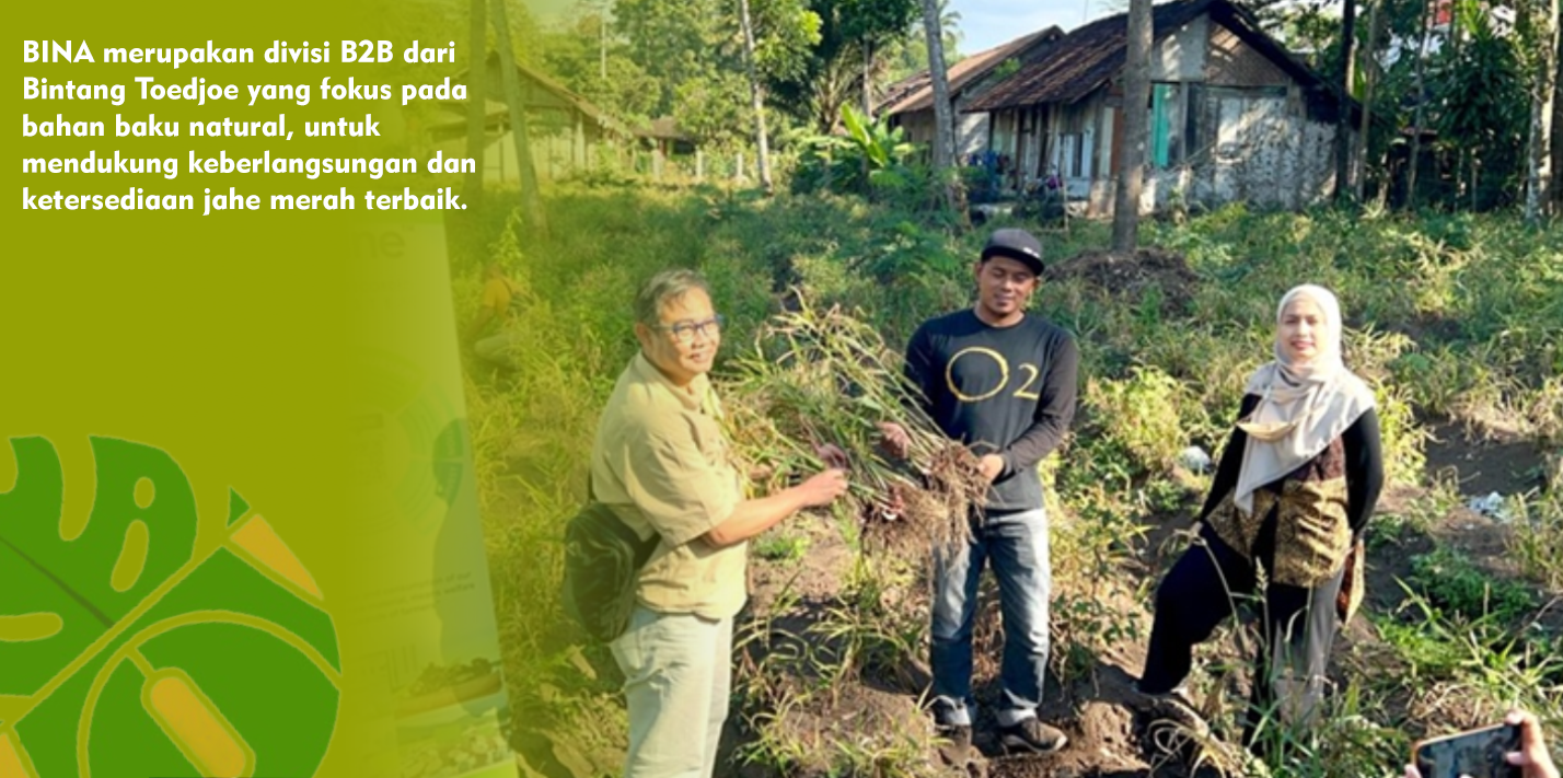 Kenalkan Ekosistem Jahe Merah, Sejahterakan Petani di Daerah, Pastikan Pasokan Berkualitas